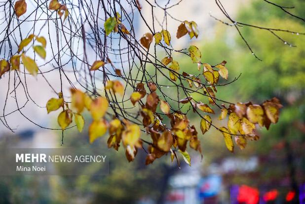 صابری: هوای آذربایجان غربی برفی می شود؛ تداوم بارشها تا پایان هفته