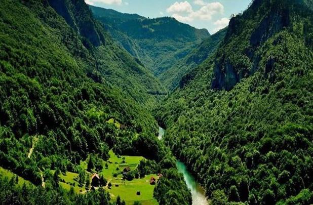 پایدار: جنگل‌های هیرکانی هویت فرهنگی و میراث ملی است