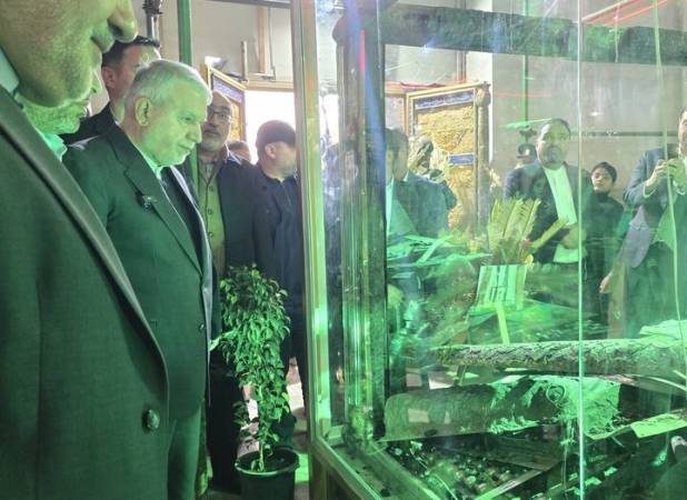 صالحی‌امیری: هتک حرمت حرم سبزقبا چهره واقعی دشمنان ایران را آشکار کرد