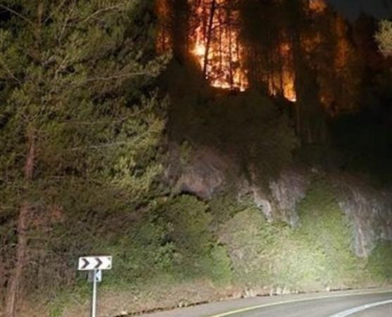 آتش در جنگل‌های اطراف قدس زبانه می‌کشد