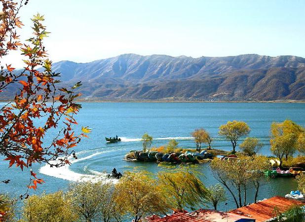 دریاچه زریوار مریوان بهشت پرندگان با ۵۲ درصد تنوع زیستی کشور