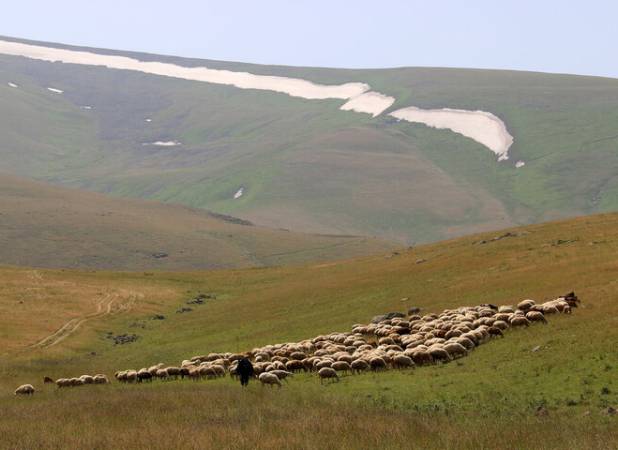 احیای یک هکتار مرتع و اضافه شدن ۲۵۰ مترمکعب به ظرفیت نفوذ آب در کشور