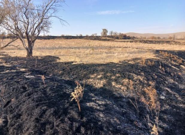 رئیس منابع طبیعی : اراضی ملی و مراتع روستای «اُردکلو» ملایر از حریق در امان مانده‌اند 