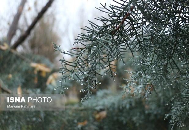 هشدار سطح زرد هواشناسی در گلستان/ ورود سامانه سرد و بارشی