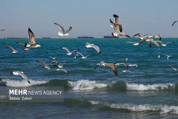 آب‌های شرق خلیج فارس نسبتاً مواج است