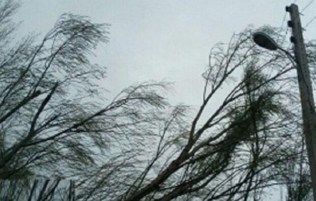 تندباد به ۵۰ سیاه‌چادر عشایری در استان ایلام خسارت وارد کرد