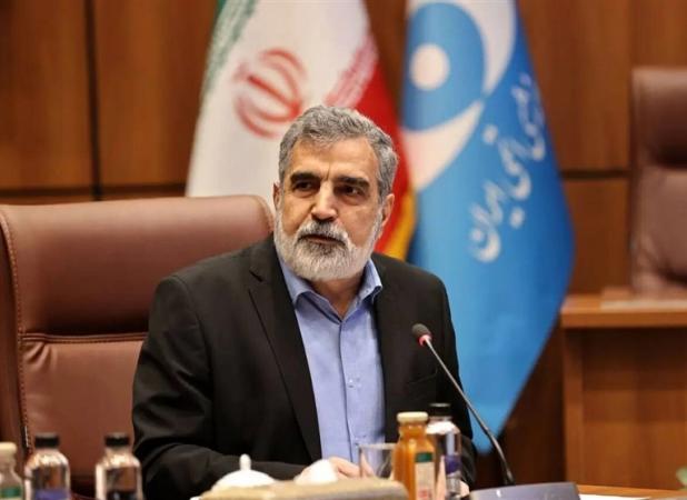 کمالوندی: صنعت هسته‌ای در کشور ما ریشه دارد