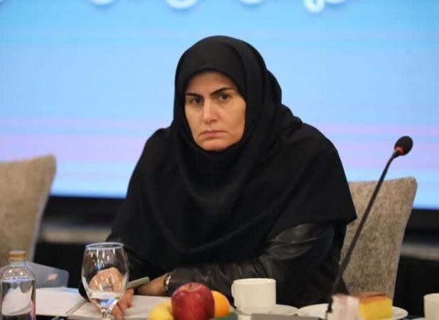 مرداخانی: ۱۸۰۰هکتار زمین برای احداث نیروگاه خورشیدی درزنجان شناسایی شد