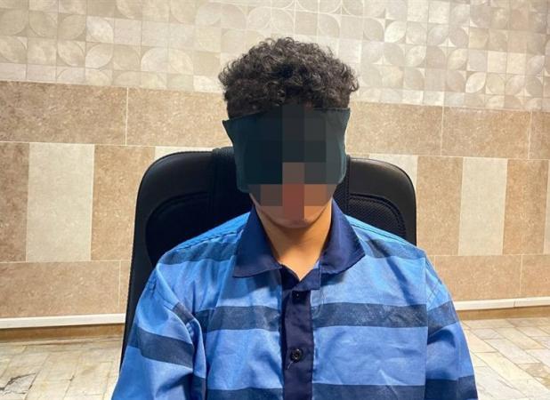 قاتل امیرمحمد خالقی در ملاعام اعدام نمی‌شود