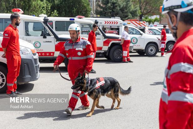 مهرگان: ۱۰ گردشگر مفقود در جنگل های شیرمشه نجات یافتند