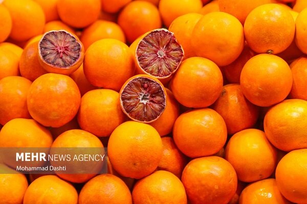 پیش بینی برداشت ۳۸ هزار تا مرکبات در سوادکوه شمالی