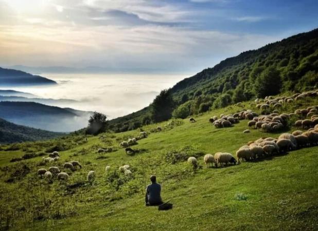 ۴ گردشگر گمشده جنگل ابر شاهرود پیدا شدند