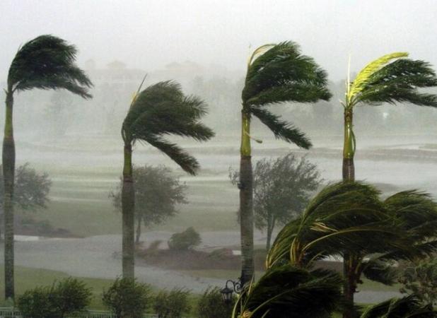 سرعت باد در استان بوشهر افزایش می یابد/احتمال خیزش گرد و خاک