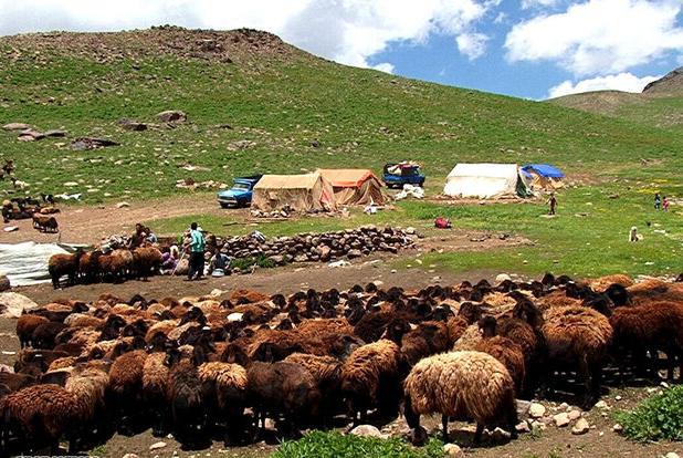 نغمه کوچ و فریاد سکوت، روایت زندگی و مشکلات عشایر فارس