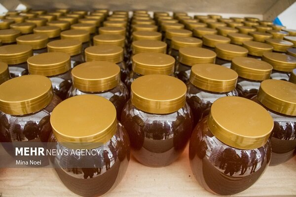 محمدزاده: خراسان شمالی سالانه هزار و ۲۵۰ تن عسل تولید می‌کند