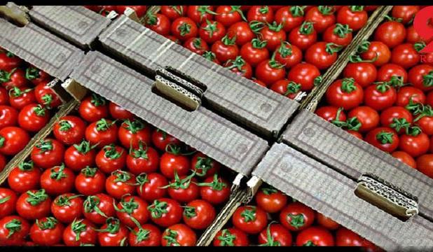 سوریه واردات محصولات کشاورزی از ترکیه را ممنوع کرد