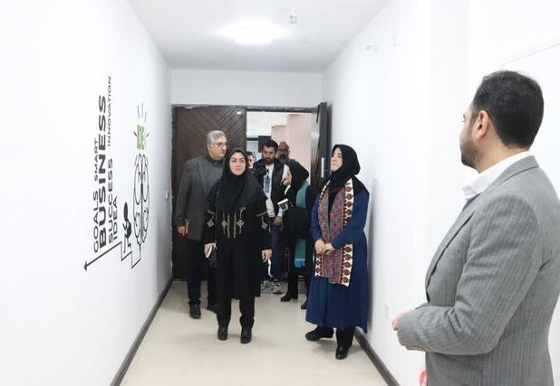 تکمیل زنجیره ارزش صنایع‌دستی و لزوم رویکرد نوآورانه به بسته‌بندی