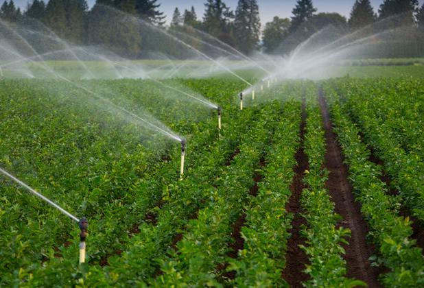 ایستگاه های پمپاژ آب کشاورزی ایلام در انتظار اعتبار سفر رئیس جمهور