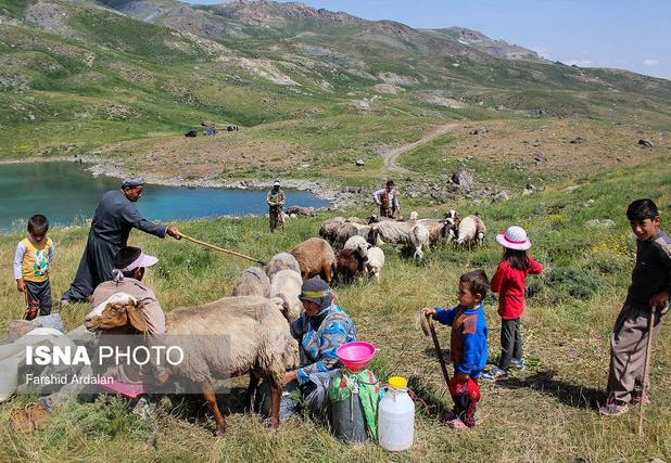 گستردگی و صعب‌العبور بودن مناطق عشایری کار آبرسانی را سخت کرده است