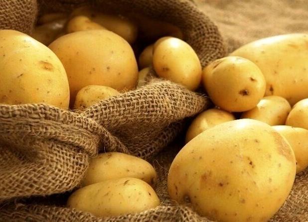 احداث نخستین واحد تولید سیب‌زمینی نیمه‌پز کشور در همدان