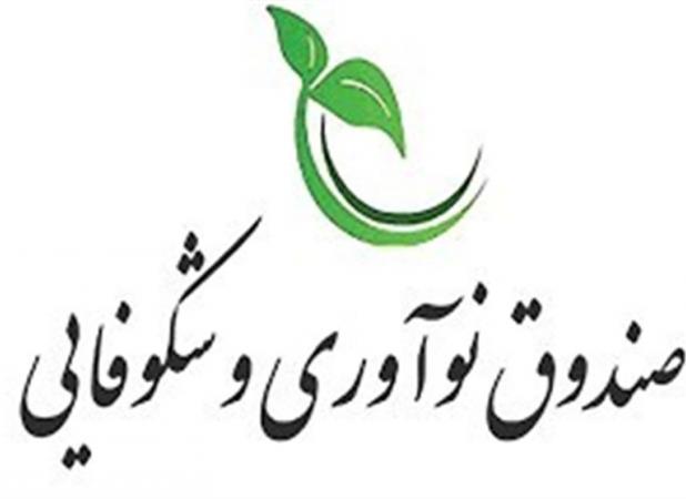 سرمایه صندوق نوآوری و شکوفایی به ۵۰ همت افزایش پیدا کرد