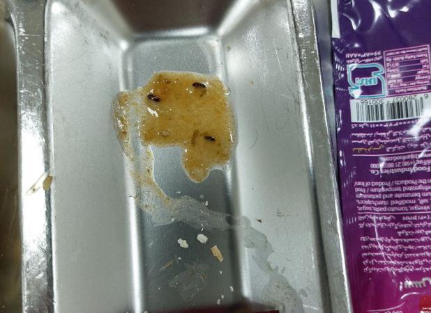 شام شوکه‌کننده‌ای که در یکی از دانشگاه‌های دولتی سرو شد!