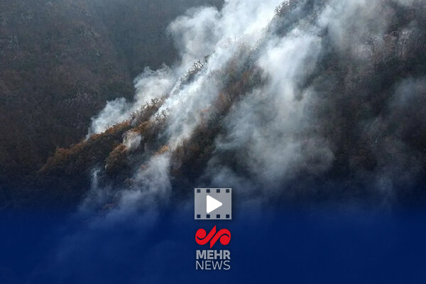 آخرین جزئیات حریق در جنگل الیت