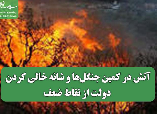 آتش در کمین جنگل‌ها و شانه خالی کردن دولت از نقاط ضعف