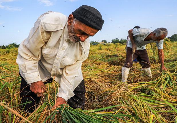مرکز ملی پایش الگوی تولید کشاورزی افتتاح شد