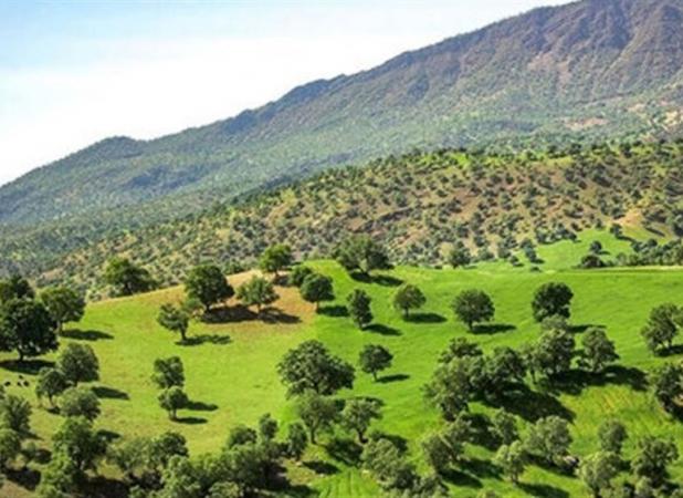 الزام واحدهای بزرگ منابع طبیعی به تولید برق