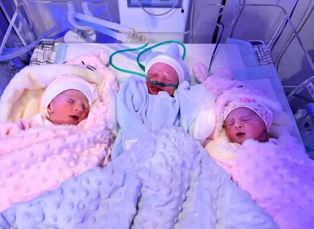نخستین تولد سه‌قلوهای سالم با IVF در کردستان
