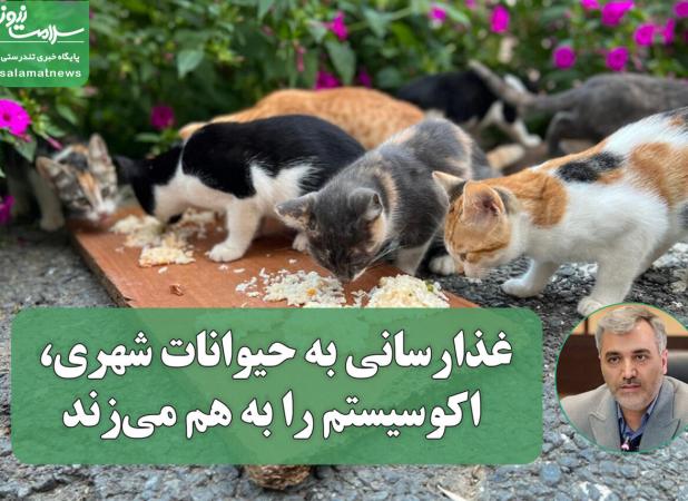 غذارسانی به حیوانات شهری، اکوسیستم را به هم می‌زند