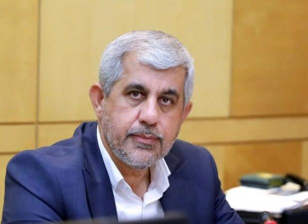 بهنام سعیدی: ظرفیت های معدنی جنوب کرمان شناسایی نشده است