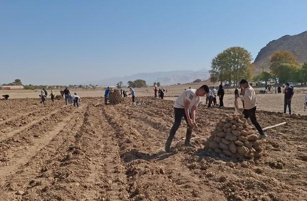 برگزاری جشنواره کلوخ‌پزی در محلات