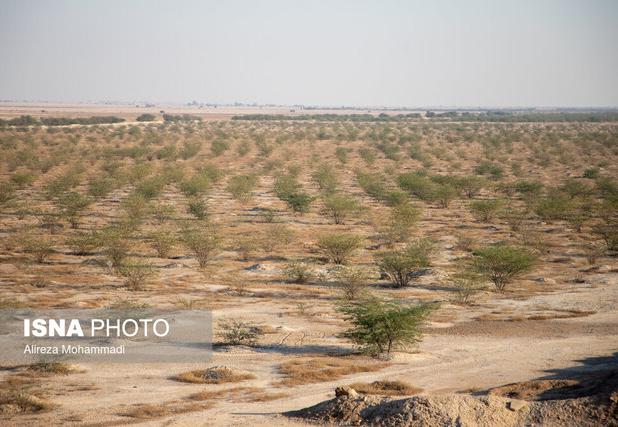 مدیرکل حفاظت محیط زیست استان زنجان: توسعه پایدار بدون رعایت الزامات زیست‌محیطی ممکن نیست