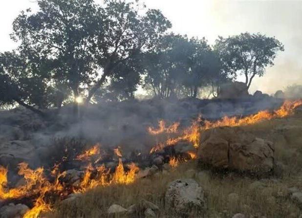 آتش بی‌احتیاطی گردشگران در جنگل‌های هیرکانی سوادکوه مهار شد