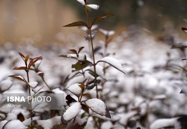 ورود سامانه بارشی به لرستان/ رگبار، رعدوبرق، تگرگ و برف در راه است