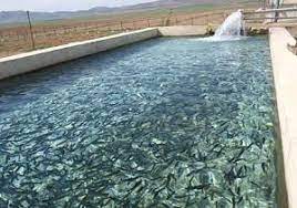آغاز عملیات اجرایی شهرک آبزی پروری سبزوار