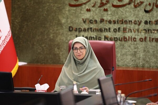 رئیس سازمان محیط‌زیست: کانون‌های داخلی گرد و غبار تثبیت و مهار می‌شود