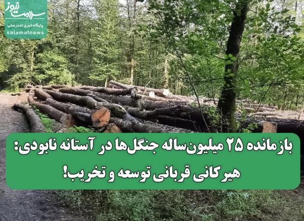 بازمانده ۲۵ میلیون‌ساله جنگل‌ها در آستانه نابودی: هیرکانی قربانی توسعه و تخریب!