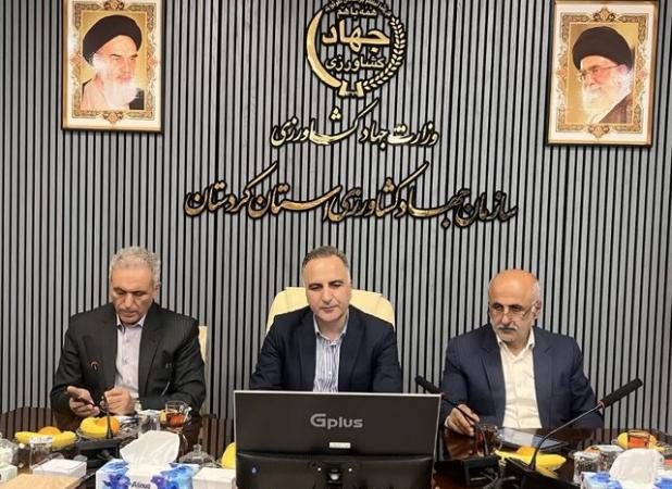 معاون زراعت وزیر جهاد کشاورزی: گندم تولید داخل از کیفیت بالایی برخوردار است