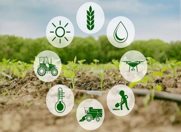 نقش موثر رسانه‌ها در ارتقای امنیت غذایی/ کشاورزی؛ از اصلی‌ترین محور رشد اقتصادی فارس