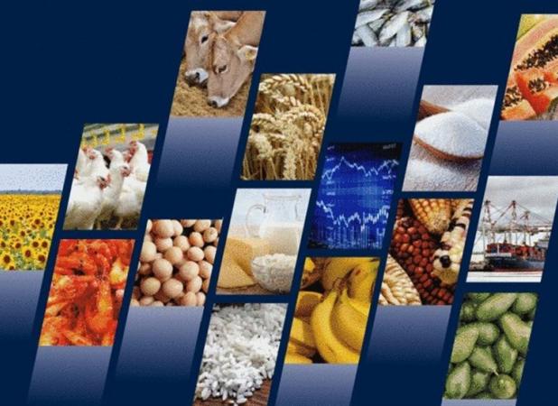 کشورهای صنعتی بزرگترین واردکننده غذا در جهان