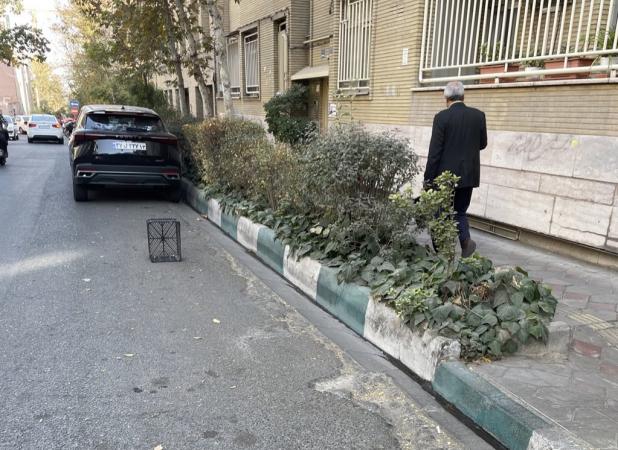 از یک شغل عجیب در خیابان‌های تهران رونمایی شد