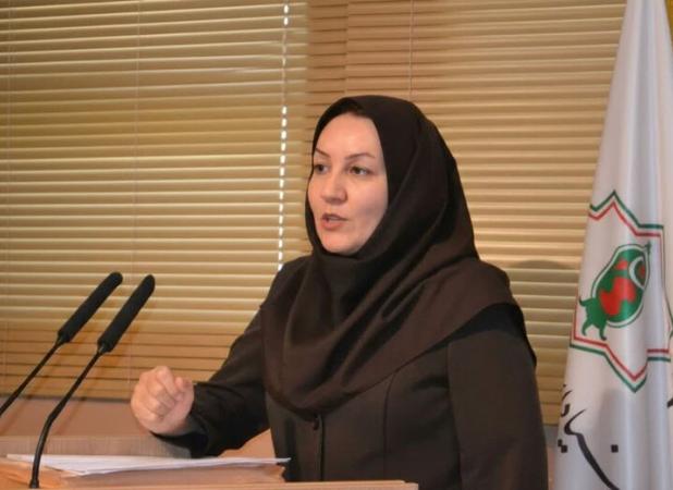 محمدی: موقعیت راهبردی ایران عامل شکل‌گیری وحدت ملی و مقاومت تاریخی است