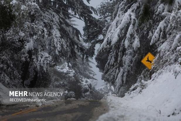 ۵ گردشگر در کولاک برف شیلی کشته شدند