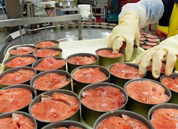 افزایش ۳باره قیمت تن ماهی از ابتدای سال/ هر قوطی ۹۹هزار تومان شد