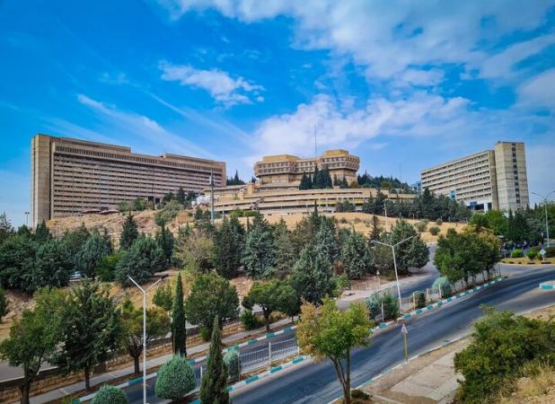 ۱۹ پژوهشگر دانشگاه شیراز در شمار پژوهشگران پراستناد یک‌ درصد برتر دنیا