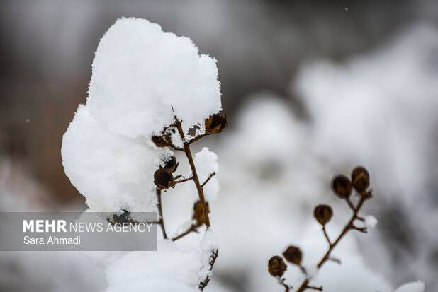 هواشناسی اصفهان: بیشترین بارش برف در فریدونشهر ثبت شد