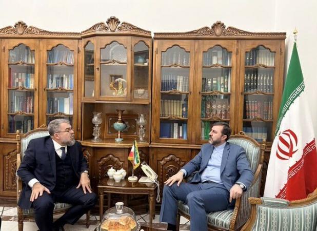 غریب آبادی: روابط ایران و برزیل ظرفیت گسترش قابل توجهی دارد